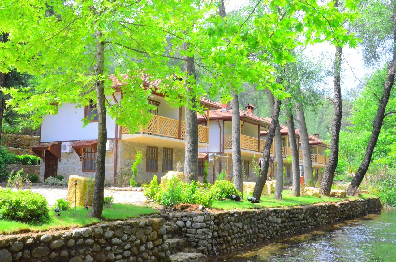 Eco Family Park Hotel Beskonak ภายนอก รูปภาพ
